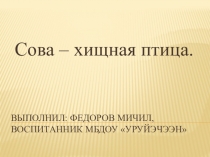 Сова - хищная птица