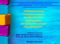 Формирование толерантности и профилактика терроризма, экстремизма среди обучающихся