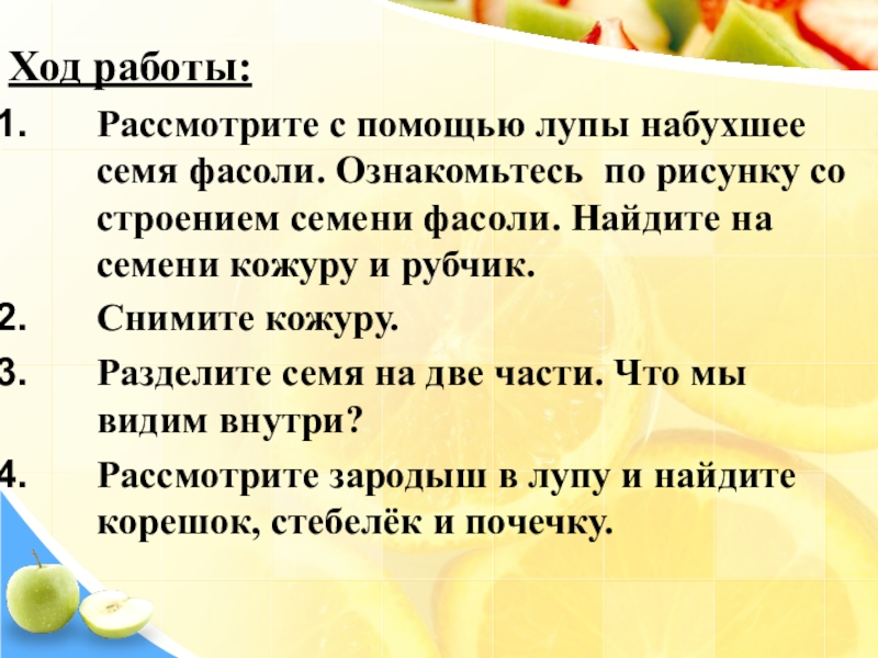 Класс ход. Вывод лабораторной работы по фасоли. Вывод семя фасоли. Вывод о строении семени фасоли. Вывод по строению семени фасоли.