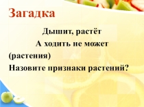 Презентация по биологии на тему Как размножаются растения? (5 класс)