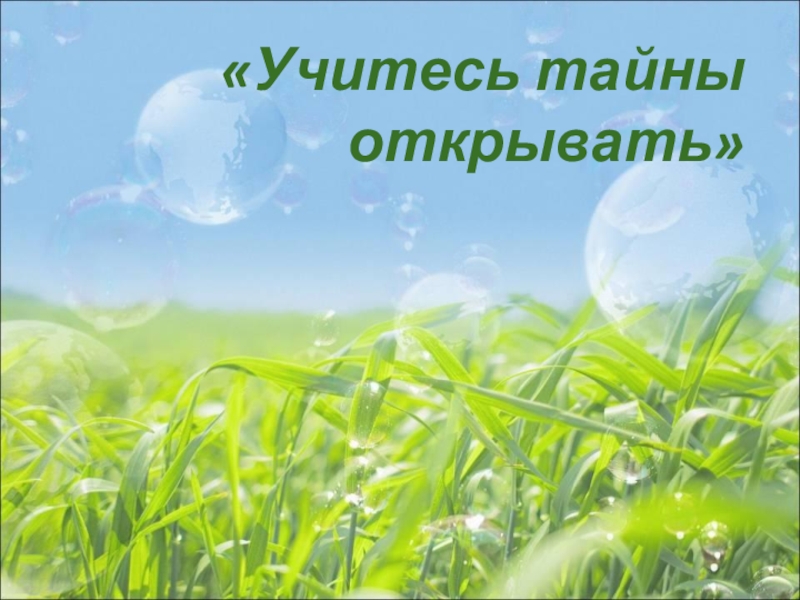 Презентация к уроку биологии 5 класса Жизнь организмов на разных материках