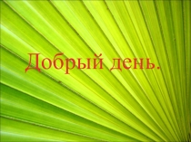 Обработка отложного воротника без прокладки.