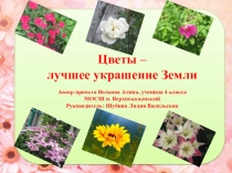 Презентация Цветы - лучшее украшение Земли (4 класс)