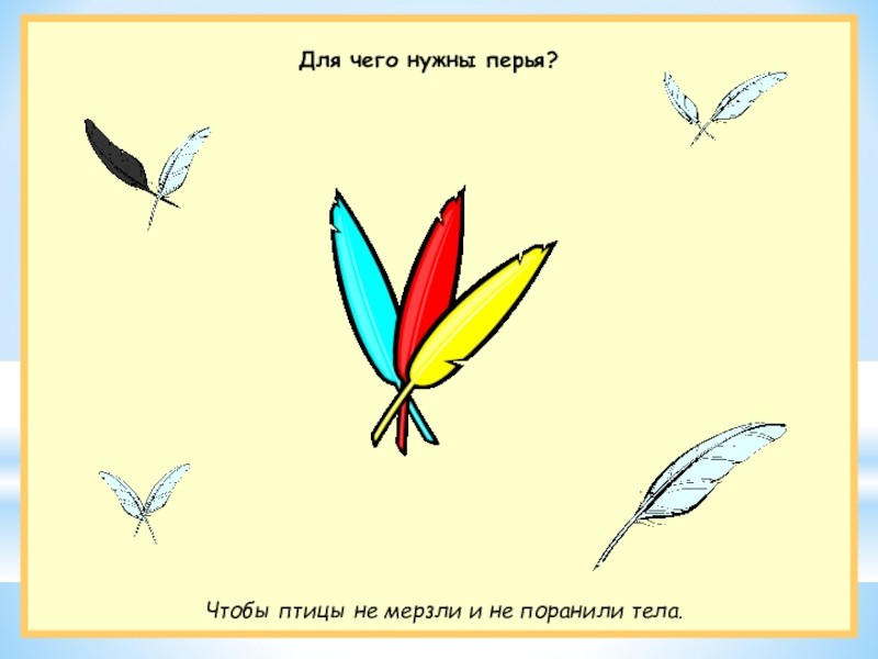 Для чего нужны перья птицам. Опыты с пером для дошкольников. Обмакнуть перо. Для чего нужно перо.