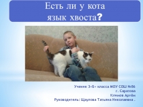 Азбука хвоста.