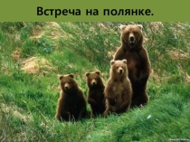 Презентация. Зрительный диктант Медвежонок