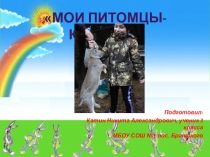 Презентация Мои питомцы кролики