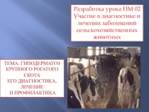 Методическая разработка урока (презентация): Гиподерматоз крупного рогатого скота, его диагностика,лечение и профилактика