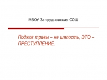 Материал к классному часу Весенние палы