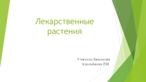 Презентация по биологии Лекарственные растения