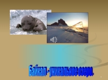 Презентация Урок по Байкалу