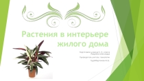 Растения в интерьере жилого дома
