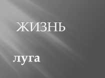 Презентация по окружающему миру на тему Луг