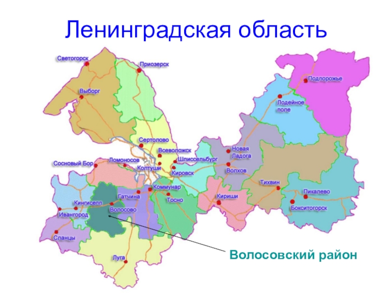 Ленинградский подробный. Ленинградская обл карта области. Карта Ленинградской области по районам. Схема Ленинградской области по районам. Районы Ленобласти на карте.