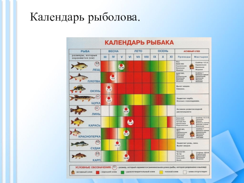 Рыболовный календарь краснодарский край