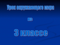 Презентация по окружающему миру на тему:Москва Златоглавая!