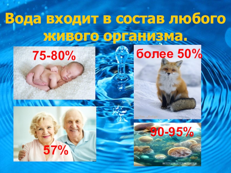 Вода это жизнь презентация