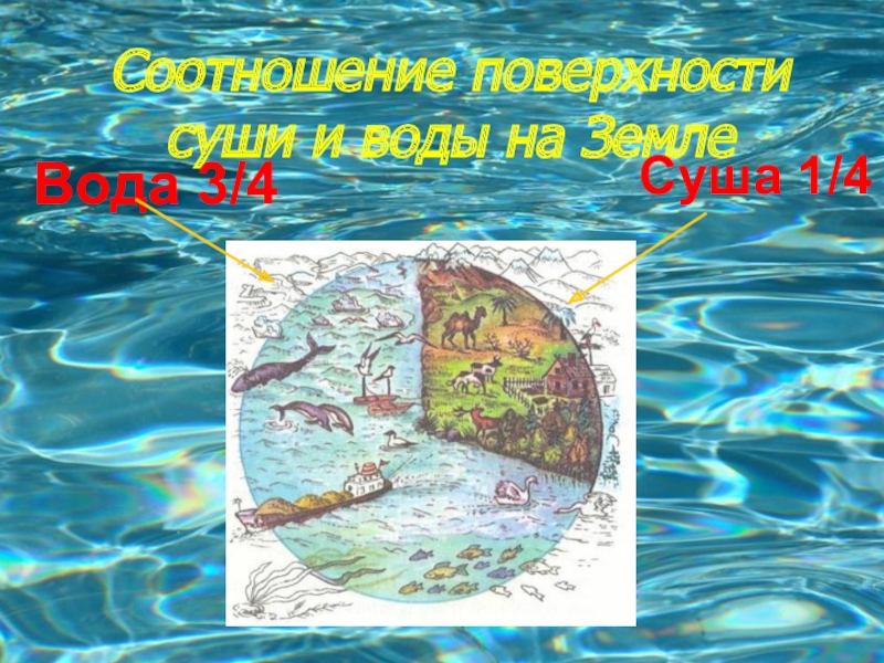 Карта вод суши. Вода и суша на земле. Карта воды на земле. Карта воды суши. Вода на земле воды суши.