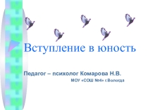 Презентация об адаптации в 10 классе