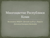 Многоцветие Республики Коми