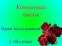 Презентация по окружающему миру Комнатные цветы.Наши исследования