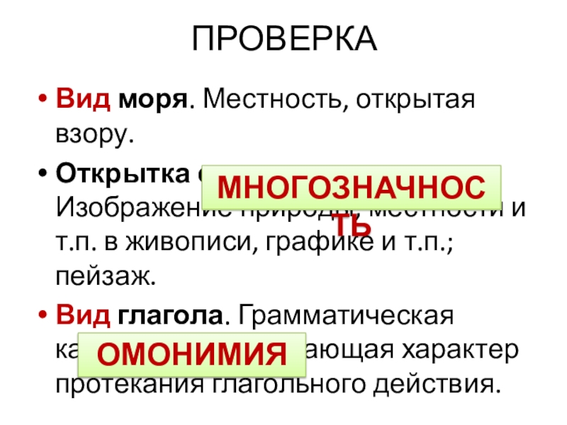 Материал к уроку. Практикум Омонимы. ПРОВЕРКАВид моря. Местность, открытая взору.Открытка с видом на море. Изображение природы, местности и т.п. ПРОВЕРКАВид моря. Местность, открытая взору.Открытка с видом на море. Изображение природы, местности и т.п. в живописи, графике и т.п.; пейзаж.Вид глагола.