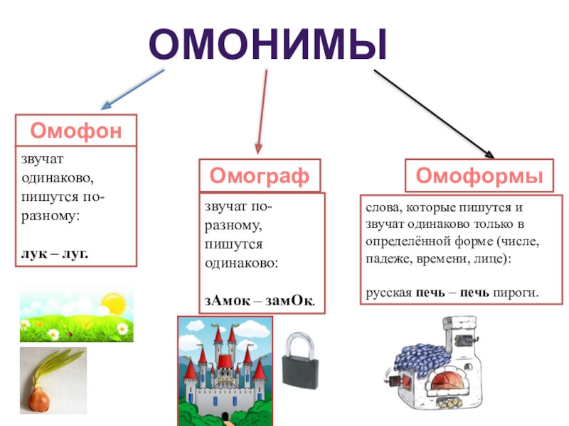 Значение омонимы омографы омофоны