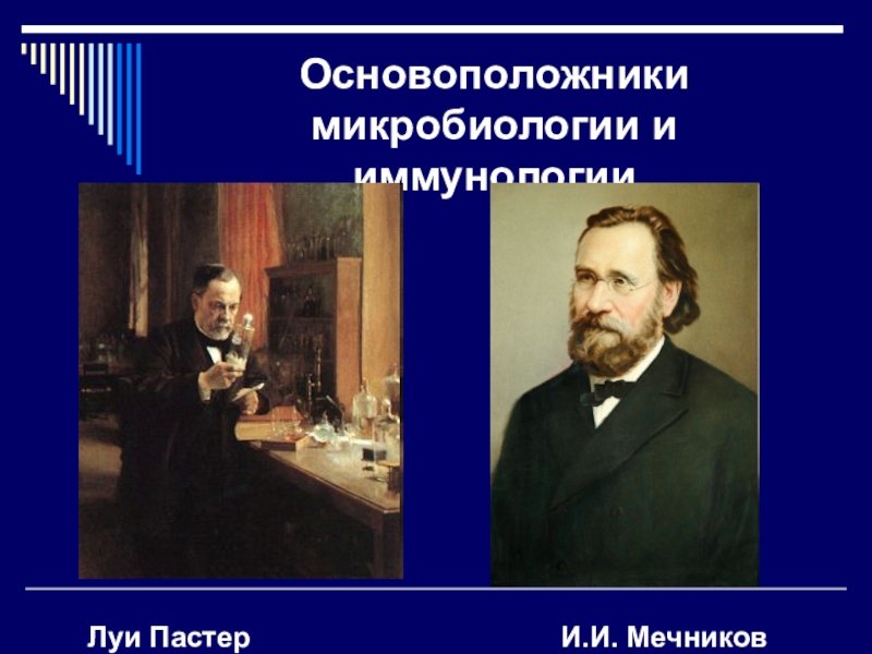 Луи пастер презентация по биологии