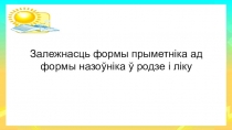 Презентация по белорусскому языку на тему Змяненне прыметнікаў па родах і ліках