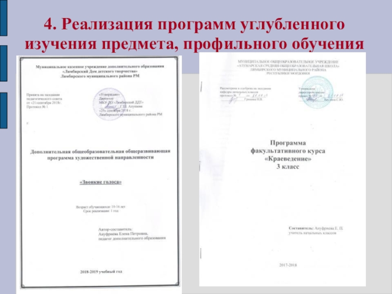 Презентация Портфолио для аттестации Ануфриевой Е. П. 4. Реализация программ углубленного изучения предмета, профильного обучения 4. Реализация программ углубленного изучения предмета, профильного обучения