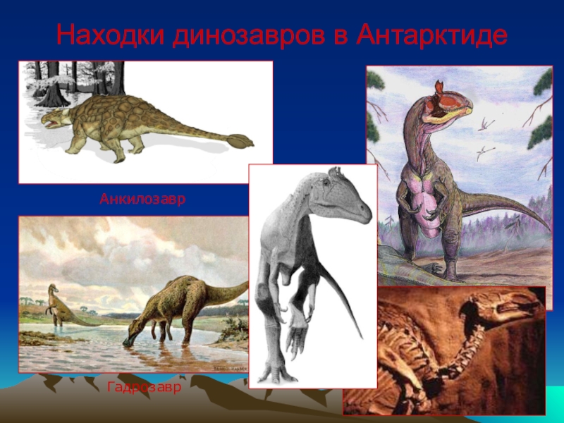 Доклад: Как гнездились динозавры