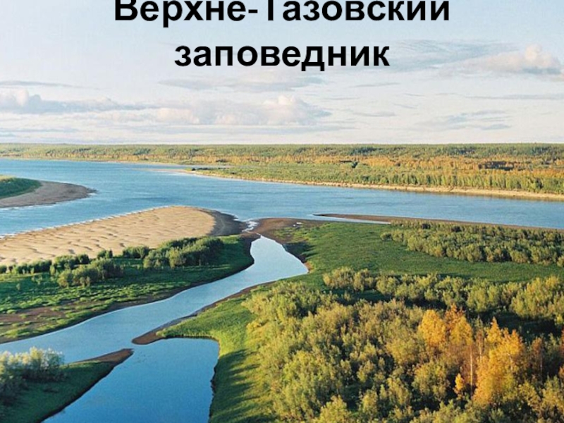 Заповедник в западной сибири. Верхне-Тазовский государственный природный заповедник. Верхне-Тазовский заповедник ЯНАО. Верхне Тазовский заповедник Западная Сибирь. Верхне Тазовский заповедник Тюменской области.