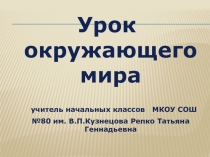 Презентация к уроку по окружающему миру на тему Пожар (2 класс)