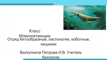 Тема: Многообразие Млекопитающих. Отряды: Китообразные, Ластоногие, Хоботные, Хищные