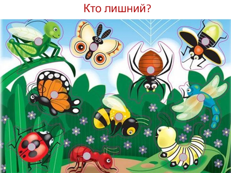 Занятие мир насекомых. Насекомые для дошкольников. Детям о насекомых в детском саду. Тема насекомые в детском саду. Мир насекомых для детей.