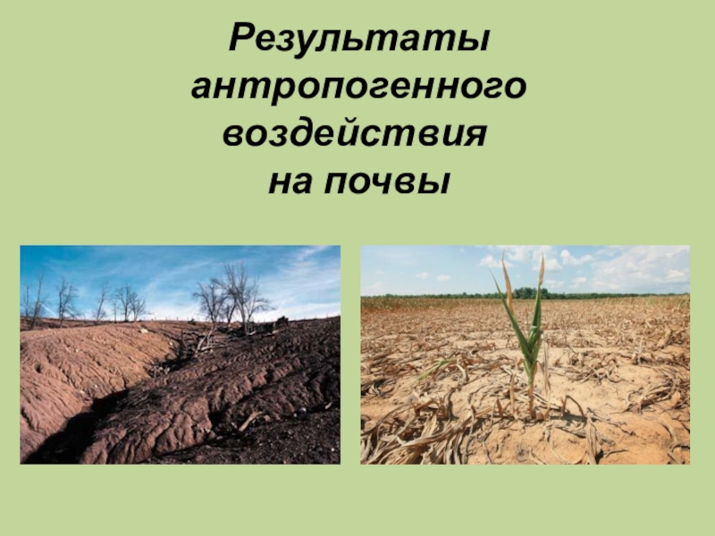 Презентация Презентация по экологическим основам природопользования Результаты антропогенного воздействия на почвы