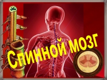 Презентация по биологии представляет новый формат рабочей тетради для самостоятельной проверки своих знаний.Может использоваться при дистанционном обучении. В данной рабочей тетради дана тема Спинной мозг.