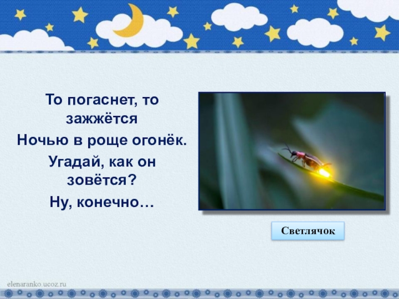 Погасло яркое светило. То погаснет то зажжется ночью в роще огонек. То погаснет то зажжется ночью в роще огонек Угадай как. Ночь для презентации. Загадка про свет то потухнет то.