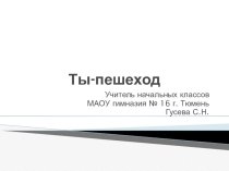 Презентация по окружающему миру Ты-пешеход