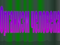Воспитательный час по формированию здорового образа жизни:Организм человека