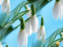 Презентация праздника старшее звено 7-12 класс Весенний экспресс 1 часть