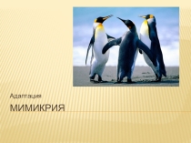 Презентация по биологии Мимикрия (11 класс)