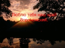 Люблю тебя наш край Воронежский.