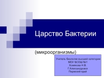 Презентация по биологии на тему Бактерии (7 класс)