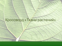 Презентация: Кроссворд Ткани растений