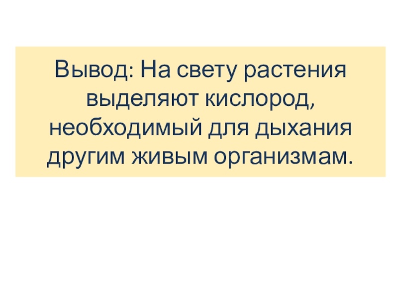 Презентация по биологии на тему Возвращают ли живые организмы вещества в окружающую среду? (5 класс ФГОС) Вывод: На свету растения выделяют кислород, необходимый для дыхания другим живым организмам. Вывод: На свету растения выделяют кислород, необходимый для дыхания другим живым организмам.