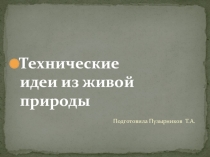 Презентация по бионике Технические идеи из живой природы