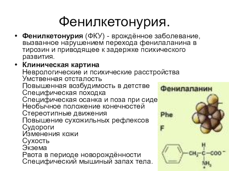 Фенилкетонурия презентация по генетике