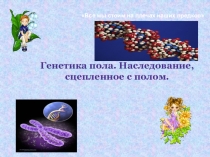 Презентация по биологии на тему Генетика пола