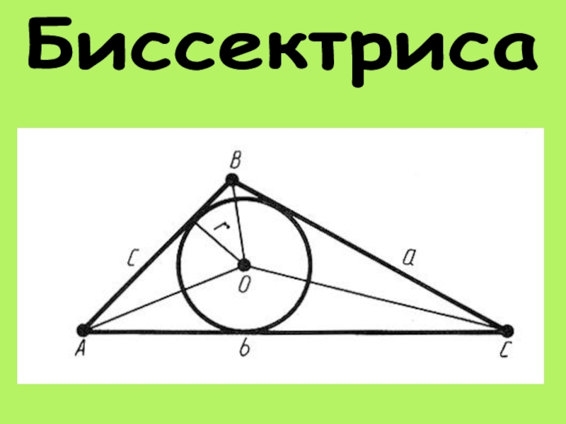 Биссектрисы вписанной окружности. Биссектриса и описанная окружность. Тупоугольный треугольник в окружности. Окружность вписанная в треугольник 7 класс. Биссектриса вписанного в окружность треугольника.